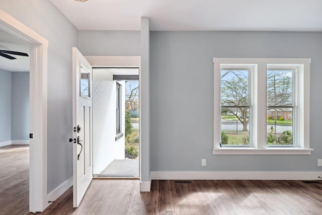 222 Groh St, Lawrenceburg, TN 38464 - entryway with plenty of natural light, wood finished floors, and ceiling fan