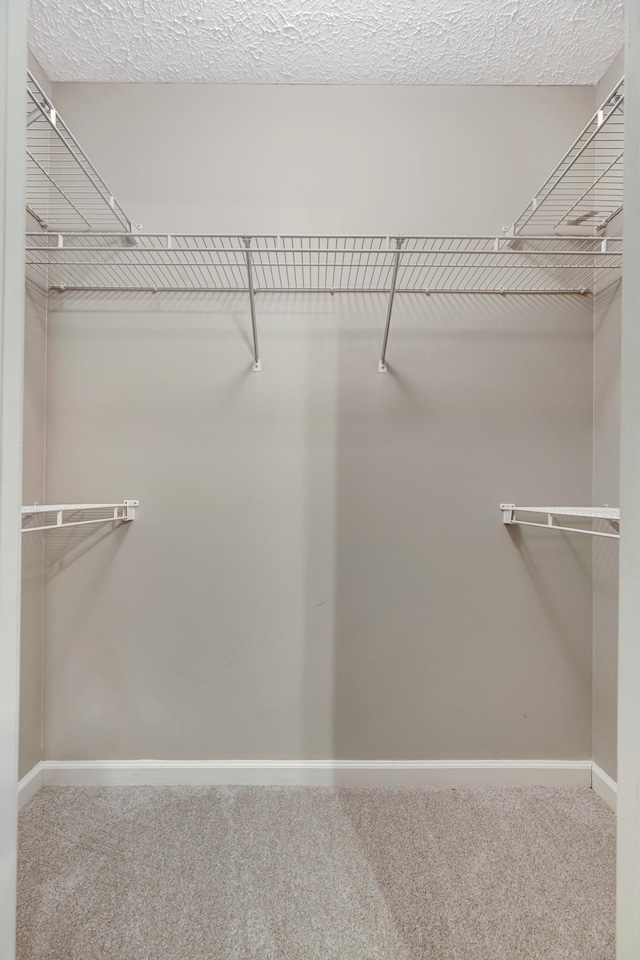 109 New Haven Ct, Nashville, TN 37214 - walk in closet featuring carpet floors