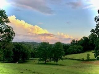 6628 Bethesda Arno Rd, Thompsons Station, TN 37179 - view of home's community with a yard