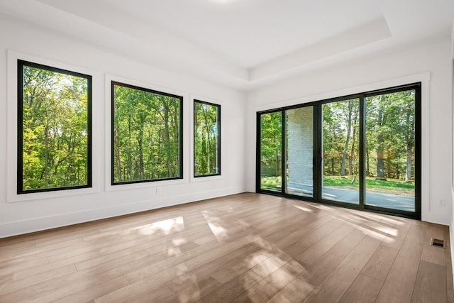 6628 Bethesda Arno Rd, Thompsons Station, TN 37179 - spare room featuring healthy amount of natural light, wood finished floors, and a raised ceiling