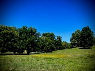 6628 Bethesda Arno Rd, Thompsons Station, TN 37179 - view of green lawn