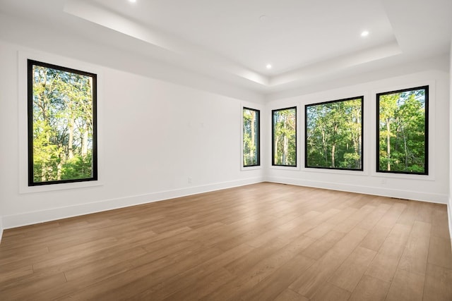 6628 Bethesda Arno Rd, Thompsons Station, TN 37179 - spare room with a tray ceiling, wood finished floors, and recessed lighting