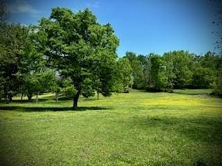 6628 Bethesda Arno Rd, Thompsons Station, TN 37179 - view of grassy yard