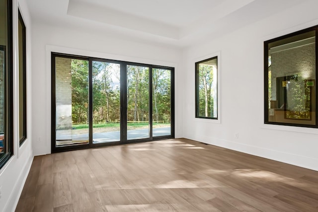 6628 Bethesda Arno Rd, Thompsons Station, TN 37179 - spare room featuring a tray ceiling and wood finished floors