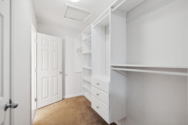 420 Elysian Fields Rd Unit C3, Nashville, TN 37211 - spacious closet featuring carpet floors and attic access