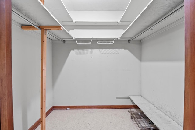 3841 Rollingwood Dr, Chattanooga, TN 37406 - view of spacious closet