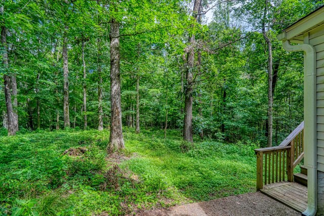 135 Joyce Ln, Ashland City, TN 37015 - photo 18