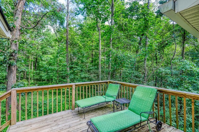 135 Joyce Ln, Ashland City, TN 37015 - photo 14
