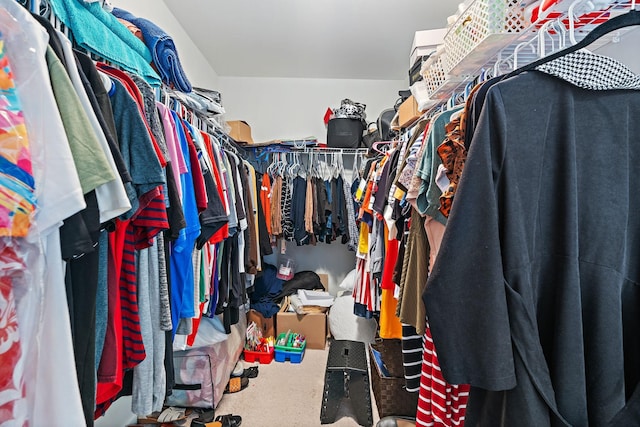 832 Green Meadow Ln, Smyrna, TN 37167 - view of walk in closet