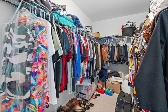 832 Green Meadow Ln, Smyrna, TN 37167 - view of spacious closet