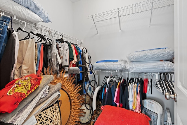 832 Green Meadow Ln, Smyrna, TN 37167 - view of walk in closet
