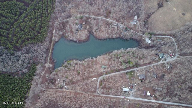 18 Diane Cir, Crossville, TN 38572 - photo 8