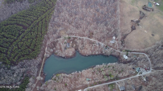 18 Diane Cir, Crossville, TN 38572 - photo 9