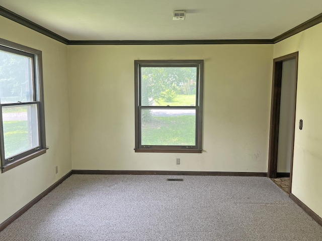 2904 Harbour View Dr, Nashville, TN 37217 - photo 6