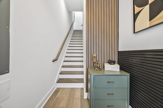 2101 Branford Pl Unit 201, Thompsons Station, TN 37179 - stairway featuring wood finished floors and wood walls