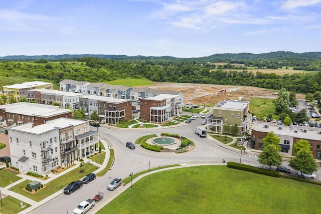 2101 Branford Pl Unit 201, Thompsons Station, TN 37179 - bird's eye view