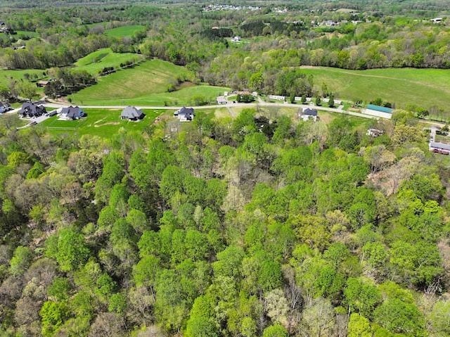 2355 Davidson Graveyard Rd, Clarksville, TN 37043 - aerial view of a forest