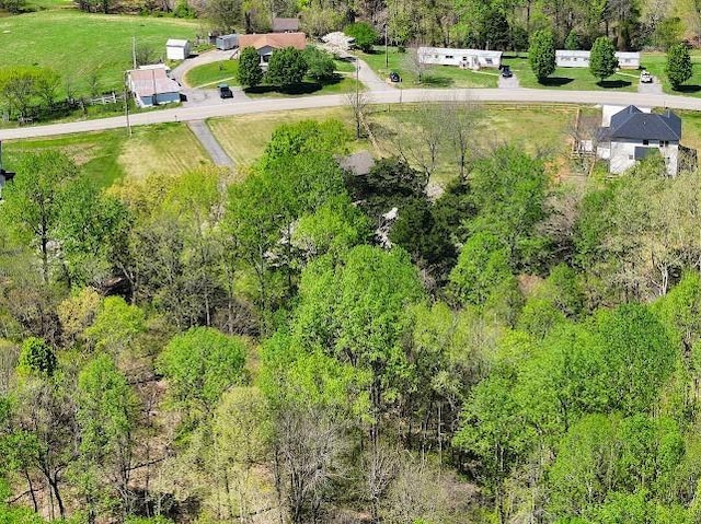 2355 Davidson Graveyard Rd, Clarksville, TN 37043 - bird's eye view
