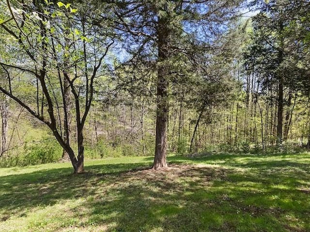 2355 Davidson Graveyard Rd, Clarksville, TN 37043 - view of green lawn featuring a forest view
