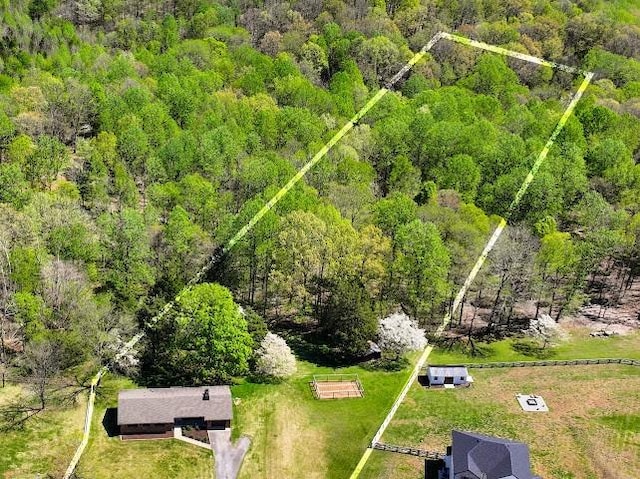 2355 Davidson Graveyard Rd, Clarksville, TN 37043 - bird's eye view of a forest