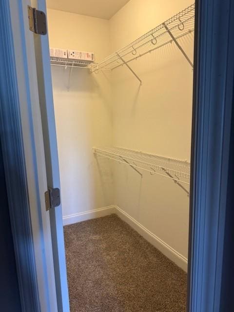 2747 Candlewick Ct, Murfreesboro, TN 37127 - spacious closet featuring carpet