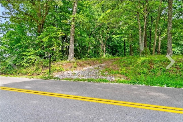 1 Ferry Rd, Clarksville, TN 37040 - photo 24