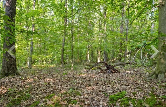 1 Ferry Rd, Clarksville, TN 37040 - photo 22