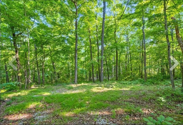 1 Ferry Rd, Clarksville, TN 37040 - photo 25