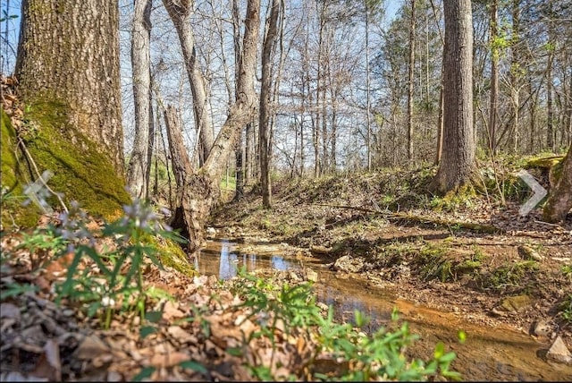 1 Ferry Rd, Clarksville, TN 37040 - photo 21