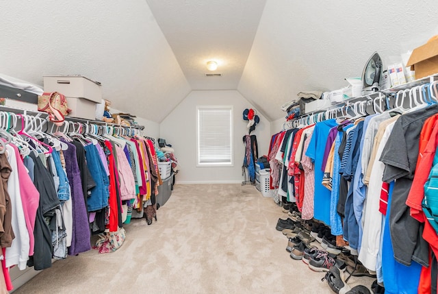 982 Chesire Way, Gallatin, TN 37066 - spacious closet with vaulted ceiling and carpet flooring