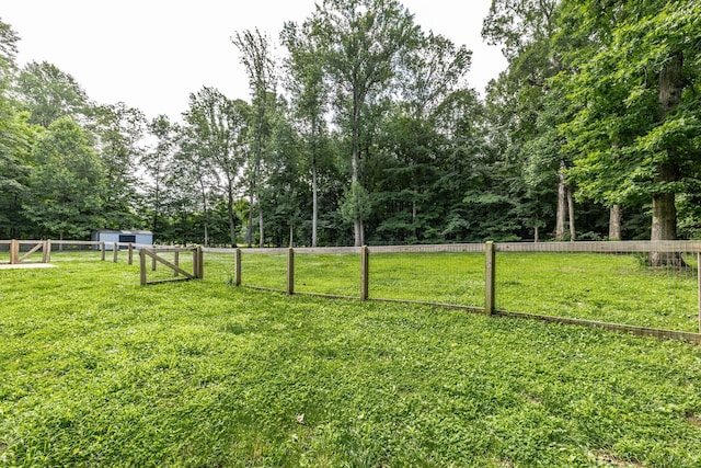 13989 Owens Chapel Rd, Springfield, TN 37172 - view of yard