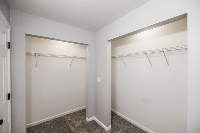 13989 Owens Chapel Rd, Springfield, TN 37172 - view of closet