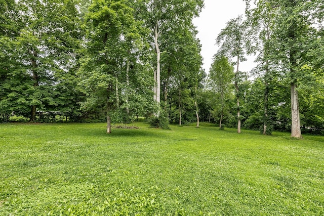 13989 Owens Chapel Rd, Springfield, TN 37172 - view of grassy yard