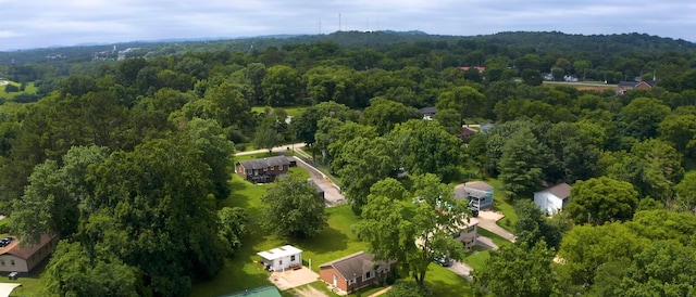320 Lee Dr, Columbia, TN 38401 - photo 32
