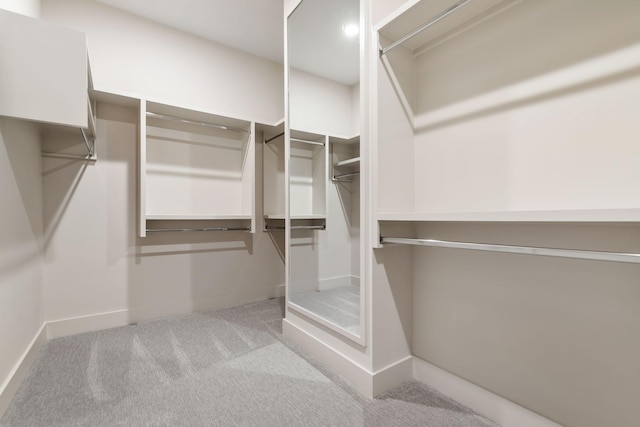 5743 Sagebrush Dr, Murfreesboro, TN 37129 - spacious closet featuring carpet