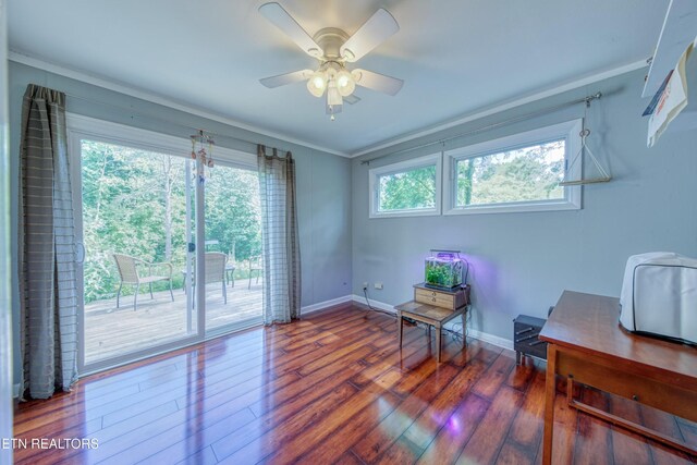 1204 Columbine Cir, Knoxville, TN 37919 - photo 19