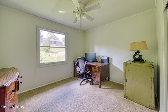 1204 Columbine Cir, Knoxville, TN 37919 - photo 22