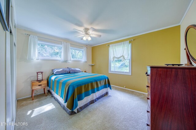 1204 Columbine Cir, Knoxville, TN 37919 - photo 21