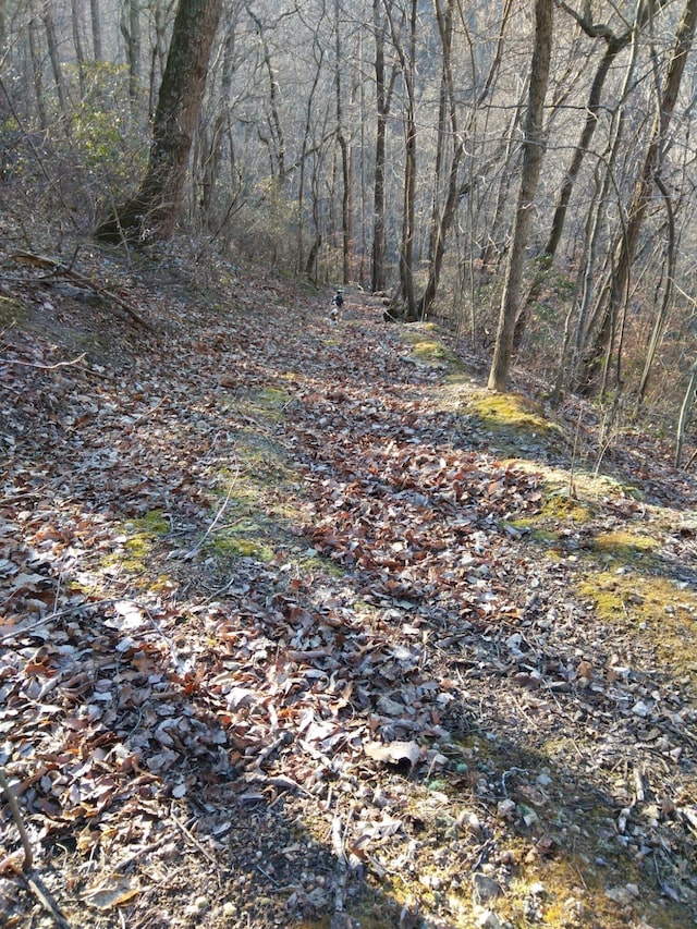 1064 Cathcart Rd, Dowelltown, TN 37059 - photo 10
