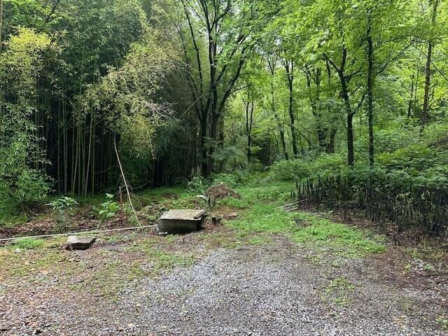 1064 Cathcart Rd, Dowelltown, TN 37059 - photo 18