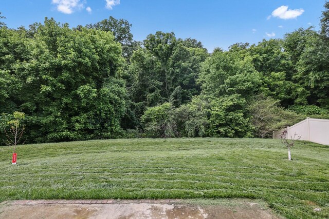 148 Macy Dr, Hendersonville, TN 37075 - photo 51