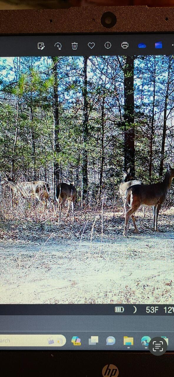0 Echo Point Rd, Dunlap, TN 37327