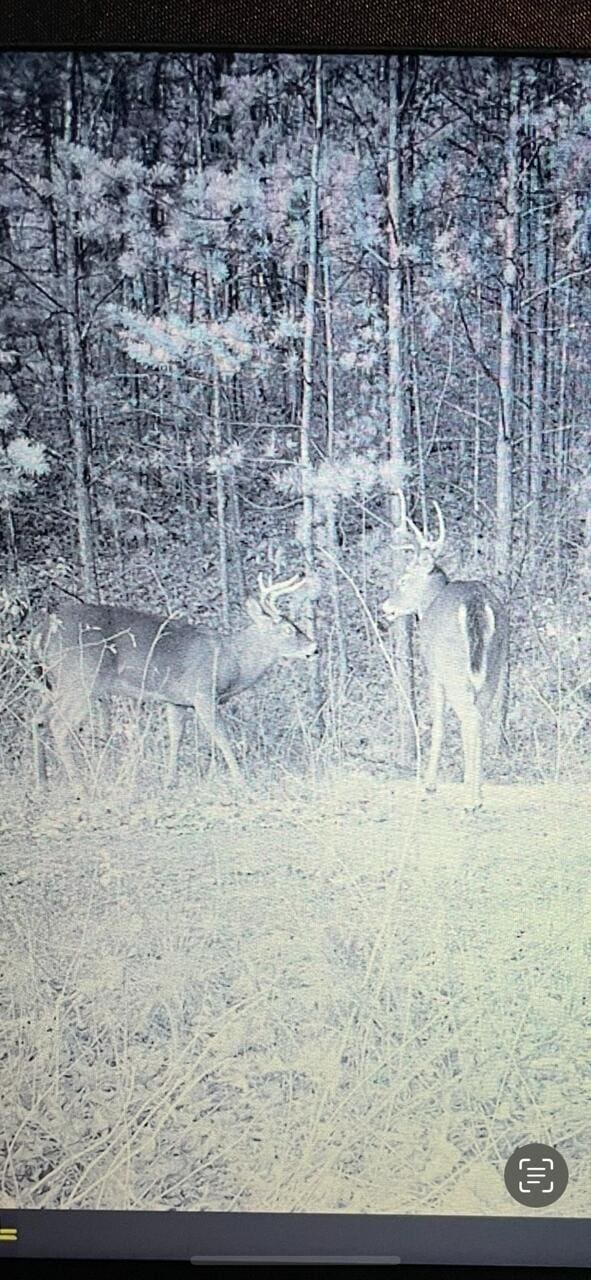 0 Echo Point Rd, Dunlap, TN 37327