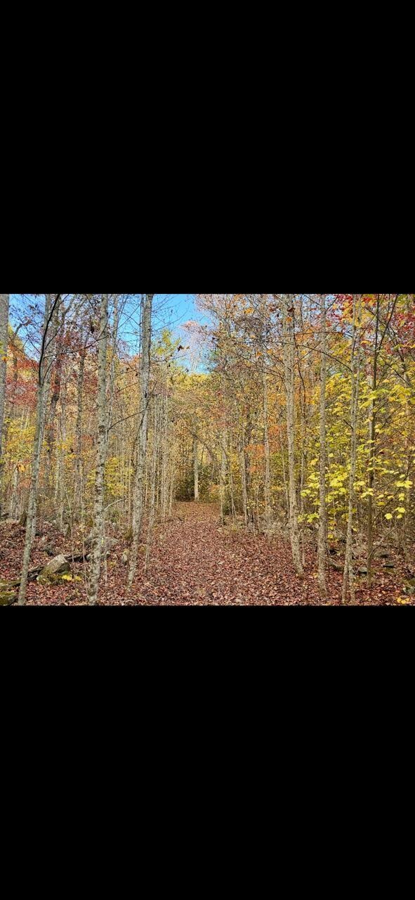 0 Echo Point Rd, Dunlap, TN 37327