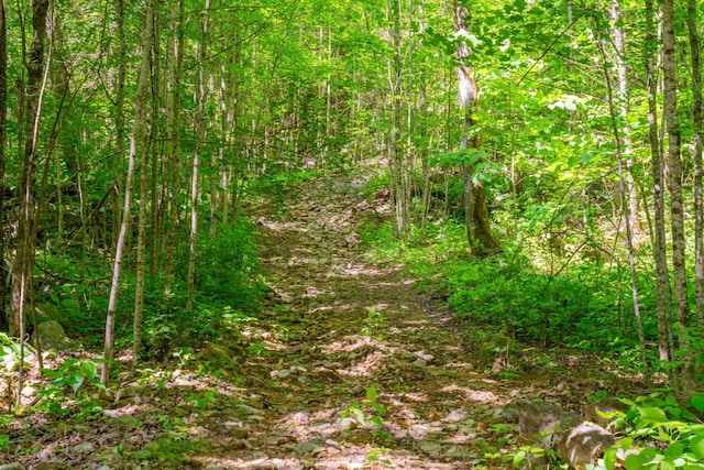 0 Echo Point Rd, Dunlap, TN 37327