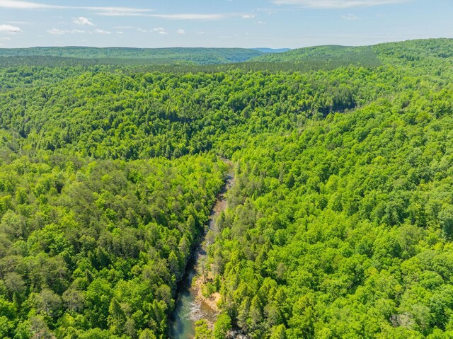 0 Echo Point Rd, Dunlap, TN 37327