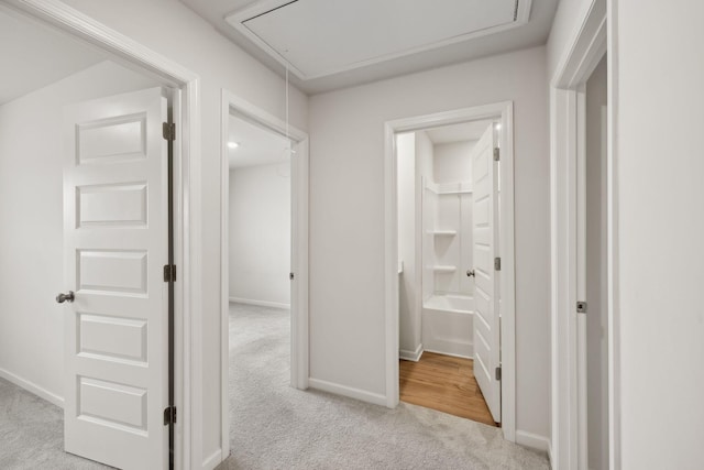 2509 Drumwright Way, Columbia, TN 38401 - corridor featuring carpet floors and attic access