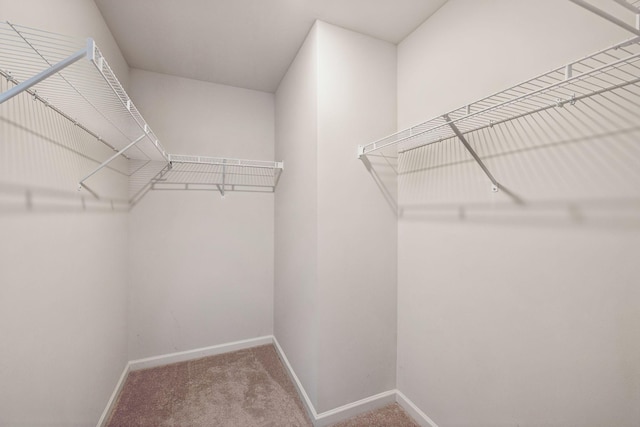 2509 Drumwright Way, Columbia, TN 38401 - spacious closet with carpet floors