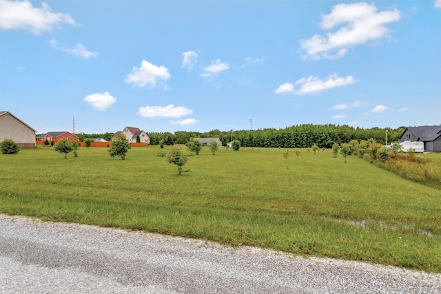 288 Springwater Dr, Summertown, TN 38483 - view of yard featuring a rural view