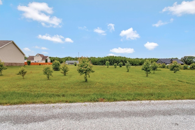 288 Springwater Dr, Summertown, TN 38483 - view of yard featuring a view of countryside
